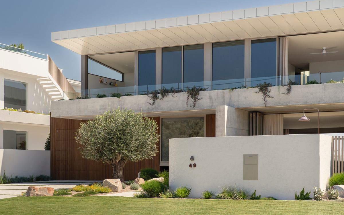Street facade with timber cladding and olive tree — House on Pacific